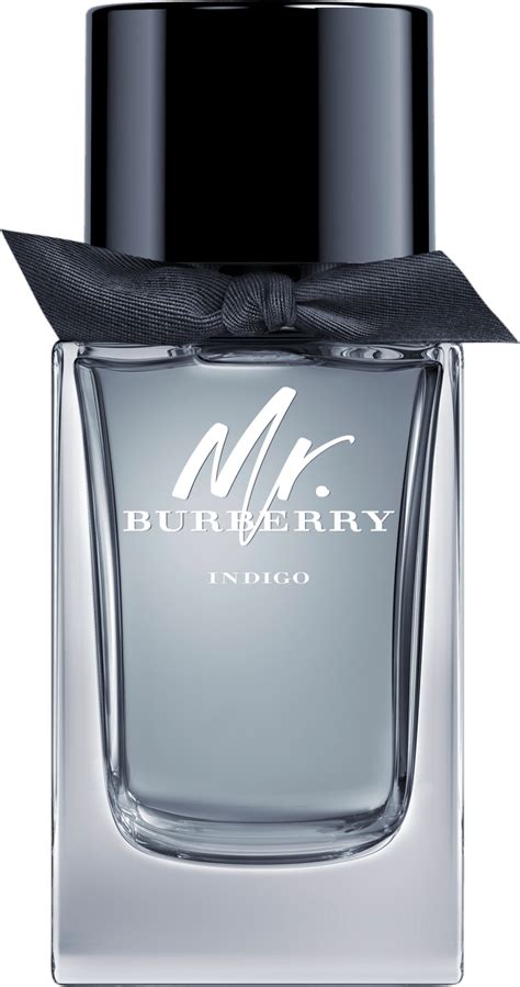 mr burberry toilette 100ml indigo|Burberry indigo for men.